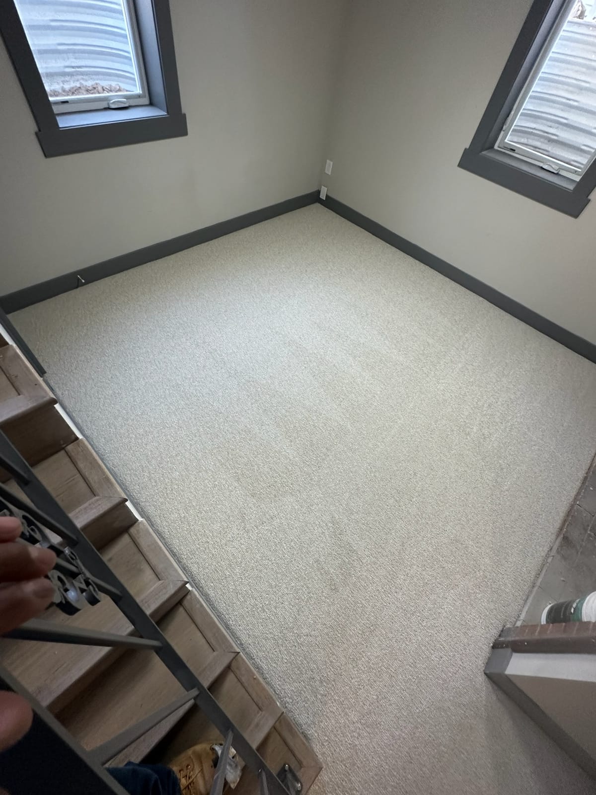 Plush carpet, clean edges